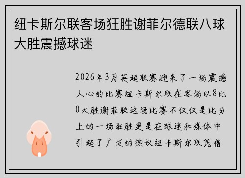 纽卡斯尔联客场狂胜谢菲尔德联八球大胜震撼球迷
